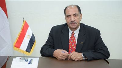 اتحاد المصريين بالخارج يقدم رؤية لحل مشكلات المغتربين إلى السفيرة سها جندي