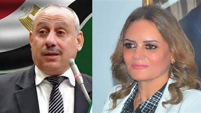 الخميس.. وفد الزيتون يعقد لقاءً جماهيريًا للنائب الوفدي إيهاب عبد العظيم