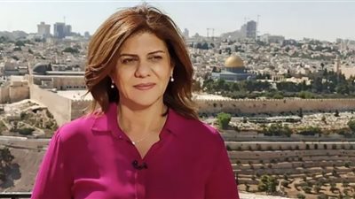 إزالة جدارية للشهيدة شيرين أبو عاقلة داخل الخط الأخضر