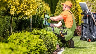 البستنة تقلل خطرالإصابة بالسرطان