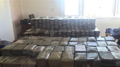 السجن المؤبد لـ3 متهمين لجلبهم 500 طربة حشيش ومبيدات سامة عبر منفذ السلوم