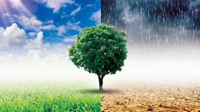 القصة الكاملة لجفاف نهر كولورادو بأمريكا