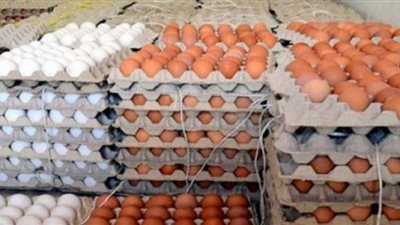 قفزة في أسعار البيض صباح اليوم