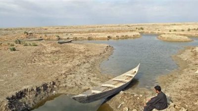 مبادرات مصر لمكافحة التغير المناخي.. شاهد