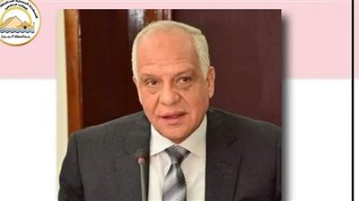 ضبط 2399 قضية تموينية و12 حجبًا للسلع خلال شهر بالجيزة