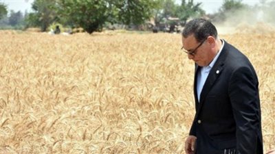 محافظ الشرقية يتابع إنتظام توريد القمح للصوامع والشون