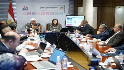 وزيرا التخطيط والتعليم العالي يناقشان عددًا من الملفات المشتركة