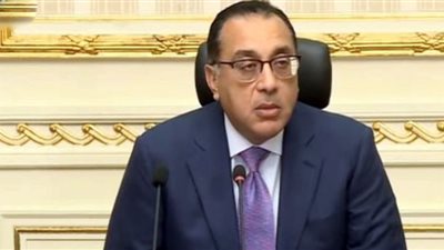 الوزراء: تأجيل خطة تعديل أسعار الكهرباء يكلف الدولة 43 مليار جنيه (فيديو)