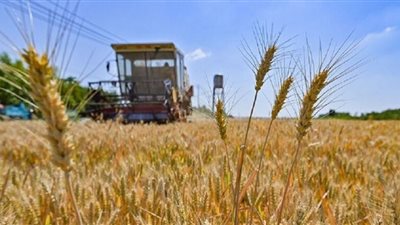 الأمم المتحدة ترحب باستئناف روسيا مشاركتها في صفقة الحبوب