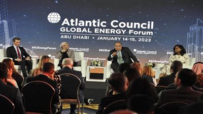 محيي الدين: صندوق الخسائر والأضرار نجاح للدبلوماسية المصرية