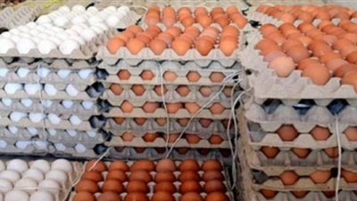 78 جنيها لكرتونة البيض.. الزراعة تضخ كميات كبيرة بأسعار مخفضة