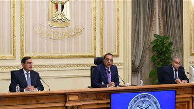 الدولة تتحمل عن المواطن 43 مليار جنيه لعدم زيادة أسعار الكهرباء