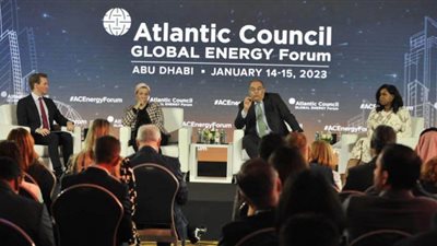 محيي الدين: مصر والإمارات ستعملان معاً من أجل تعزيز العمل المناخي الدولي