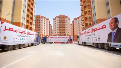 جهود صندوق تحيا مصر في مواجهة الأزمات