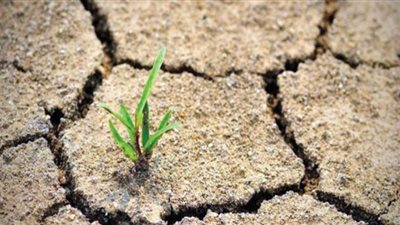 التصحر وتدهور الأراضى والمحاصيل.. أهم ملفات الزراعة