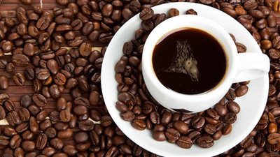 خبر صادم لعشاق القهوة.. زراعة البن في خطر (فيديو)