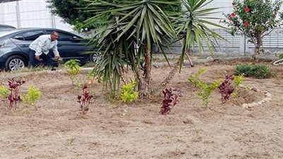 نشاط مُكثَّف لجهاز التطوير والتجميل بمدينة الإسماعيلية