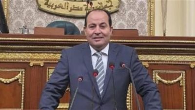 عبدالباسط الشرقاوي: تطبيق حزمة الحماية الاجتماعية الاستثنائية أول سبتمبر لدعم المواطنين