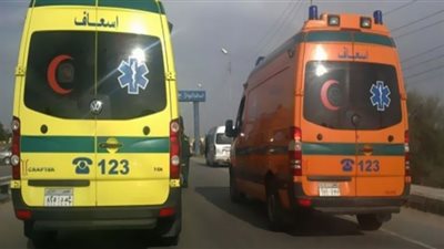 سيارة نقل تطيح بـ3 أشقاء في الهرم.. الرابع نجا من الموت بأعجوبة