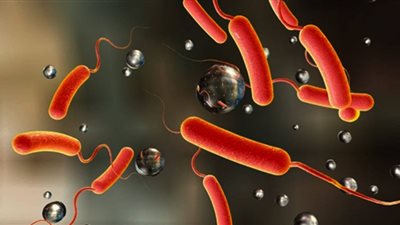 بعد تفشيها في 29 دولة.. هل تقترب الكوليرا من مصر