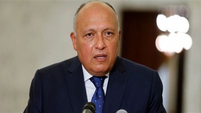 وزير الخارجية يلتقي رئيس الجابون لبحث سبل التعاون الثنائي