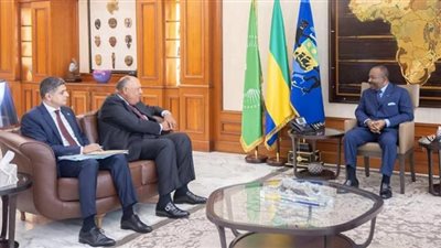 تفاصيل لقاء وزير الخارجية بالرئيس الجابوني