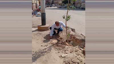 محافظ أسيوط يعلن استمرار فعاليات مبادرة زراعة 100 مليون شجرة