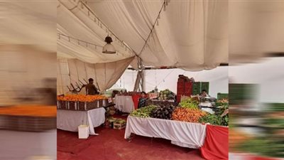 نائب محافظ القاهرة تتابع منافذ بيع المنتجات والسلع وتؤكد تشهد إقبلًا كبيرًا من المواطنين