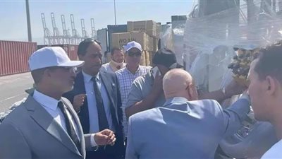 3.1 مليار جنيه قيمة ضرائب جمارك السخنة خلال أكتوبر