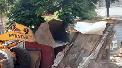 الدقهلية تواصل حملات الموجة الـ20 لإزالة التعديات على أراضي الدولة