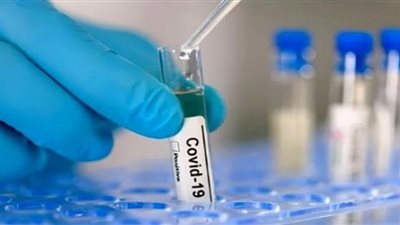 إجمالي إصابات فيروس كورونا عالميًا يتخطى 631 مليون شخص