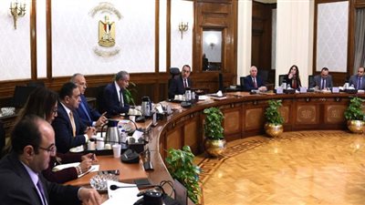 الحكومة تبحث التوسع في زراعة المحاصيل الزيتية لتحقيق الاكتفاء الذاتي