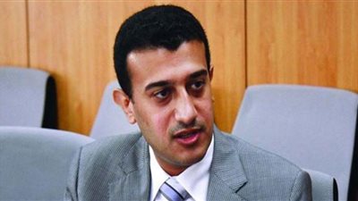 لجنة العفو الرئاسي لن تفرج عن مهددي الأمن القومي