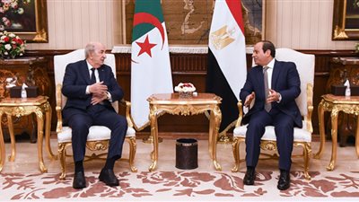 مشاركة السيسي سبب أساسي في نجاح القمة العربية (فيديو)