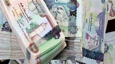 ارتفاع طفيف فى أسعار العملات العربية مقابل الجنيه اليوم