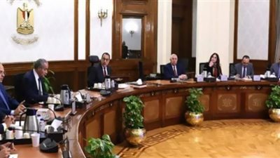 رئيس الوزراء يستعرض سبل توفير الزيوت الخام