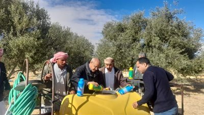 بحوث الصحراء يطلق حملة إرشادية لمكافحة آفات الزيتون