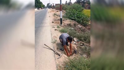 إستمرار زراعة الأشجار المثمرة وخفض إنارة أعمدة الكهرباء بالشرقية