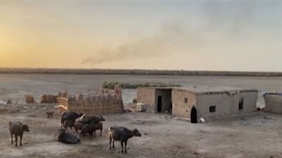 الجفاف يهدد منطقة الأهوار بالإزالة من لائحة التراث العالمي (شاهد)