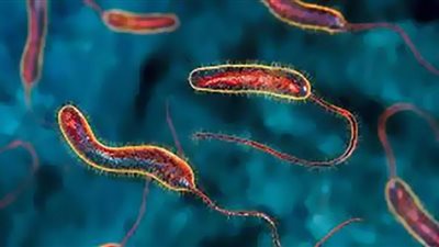 وباء الكوليرا يثير رعب اللبنانيين