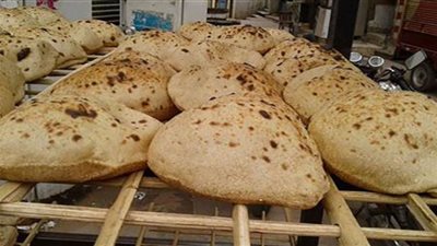 بشرى سارة.. طرح العيش المدعم لغير حاملي بطاقة التموين (تفاصيل)
