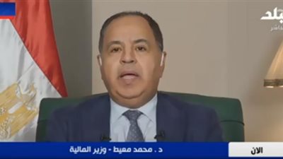 المالية توقف تحصيل الغرامات الجمركية من المتأخرين (فيديو)