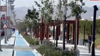 بث مباشر .. توافد المشاركين في قمة المناخ بشرم الشيخ