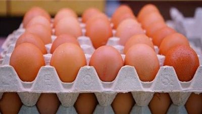 أسعار البيض اليوم السبت بالأسواق