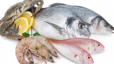 أسعار الأسماك بسوق العبور اليوم