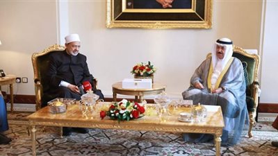 شيخ الأزهر يؤكد جاهزية المسلمين باختلاف مذاهبهم للحوار ووحدة الصف
