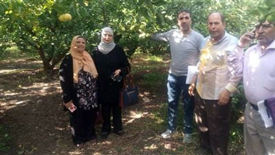 الزراعة: إهداء المحافظات 485 ألف شجرة تزامنا مع قمة المناخ