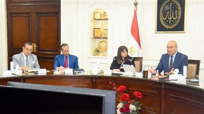 الهجرة والاتصالات والإسكان يطلقان تطبيق الكتروني موجه للمصريين بالخارج