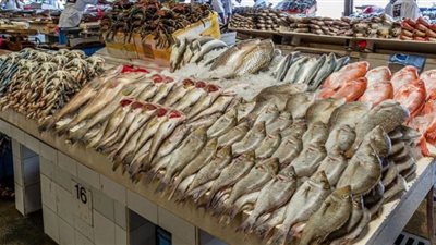 البلطي بـ20 جنيهاً.. أسعار الأسماك اليوم