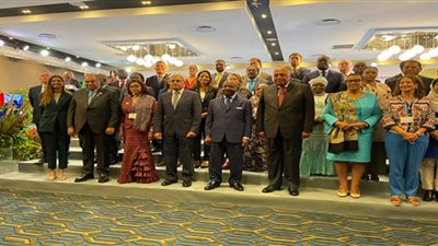 محيي الدين: إفريقيا بحاجة لأدوات تمويلية مبتكرة فى العمل المناخي